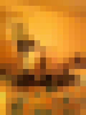 _TS Nikki Nicole Dallas, Texas Escort, Pornstar, BDSM, DUO, Couple, Massage, Verified Adult Service Provider, Companion in United States | 5