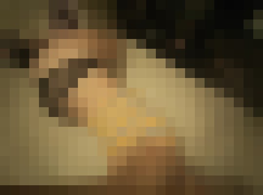 Shyne On Killeen, Texas Escort, , Verified Adult Service Provider, Companion in United States | 11