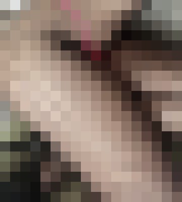 Sexy Jessika Los Angeles, California Escort, , Verified Adult Service Provider, Companion in United States | 4