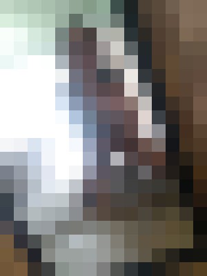 Sweet Kandy Dallas, Texas Escort, , Verified Adult Service Provider, Companion in United States | 10