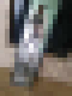 Sweet Kandy Dallas, Texas Escort, , Verified Adult Service Provider, Companion in United States | 14