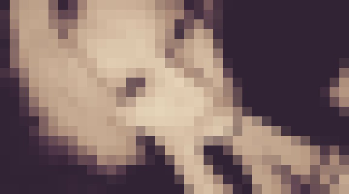 Sinsexyangel46 Longview, Texas Escort, Pornstar, BDSM, DUO, Verified Adult Service Provider, Companion in United States | 2