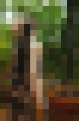 Noelle Larue Los Angeles, California Escort, , Verified Adult Service Provider, Companion in United States | 4