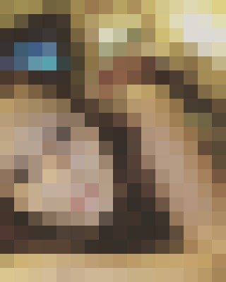 Bcandy Portland, Oregon Escort, Pornstar, Verified Adult Service Provider, Companion in United States | 10