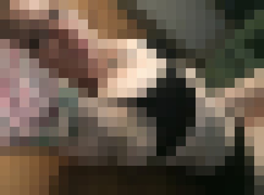 Bcandy Portland, Oregon Escort, Pornstar, Verified Adult Service Provider, Companion in United States | 11