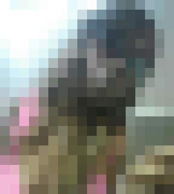 Exxotic Austin, Texas Escort, , Verified Adult Service Provider, Companion in United States | 5