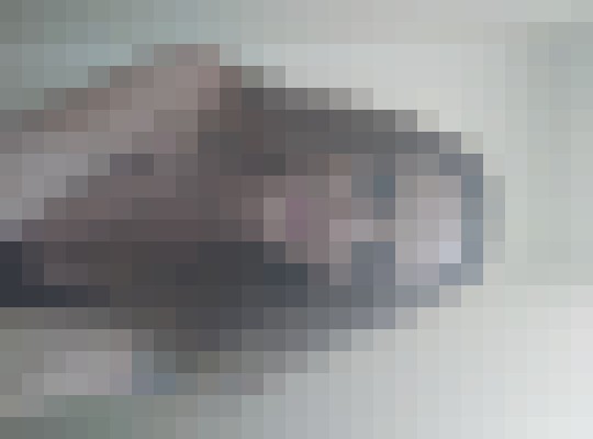 zevarose Dallas, Texas Escort, , Verified Adult Service Provider, Companion in United States | 6