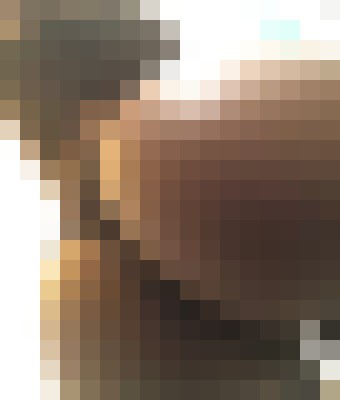 La Chocolate New York Escort, , Verified Adult Service Provider, Companion in United States | 9