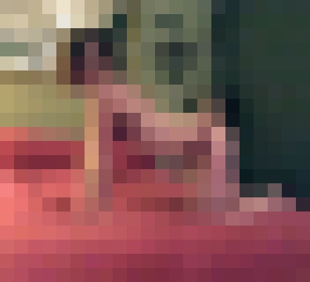 JennyLuv Spokane, Washington Escort, , Verified Adult Service Provider, Companion in United States | 15