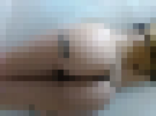 AmberXXX Atlanta, Georgia Escort, , Verified Adult Service Provider, Companion in United States | 2
