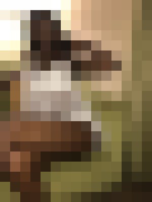 Myra_ San Diego, California Escort, , Verified Adult Service Provider, Companion in United States | 3