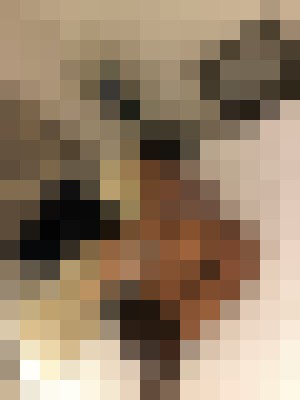 Jessica 28 Atlanta, Georgia Escort, , Verified Adult Service Provider, Companion in United States | 6