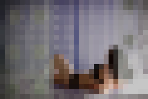 Madison Charlotte, North Carolina Escort, , Verified Adult Service Provider, Companion in United States | 2