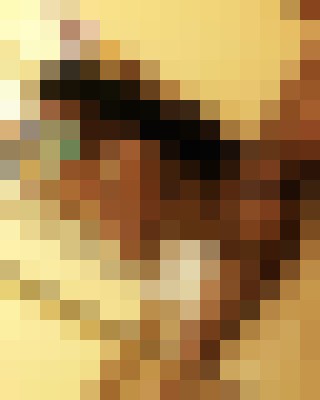 SweetNDiscreet Phoenix, Arizona Escort, Massage, Verified Adult Service Provider, Companion in United States | 4