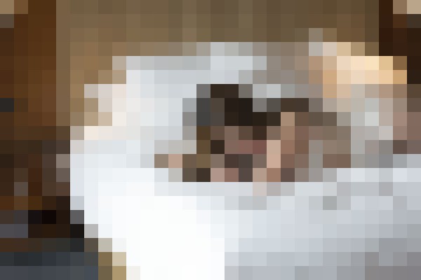 Brigitte Knight Singapore Escort, , Verified Adult Service Provider, Companion in Singapore | 3