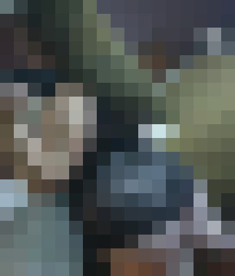 pinklips Augusta-Richmond County, Georgia Escort, , Verified Adult Service Provider, Companion in United States | 2
