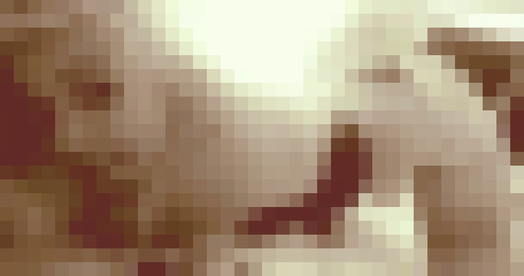SexXiSerenity Indianapolis, Indiana Escort, , Verified Adult Service Provider, Companion in United States | 6