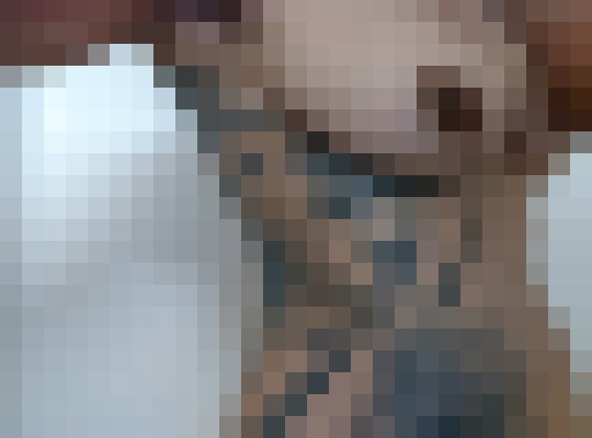 Unique Phoenix, Arizona Escort, , Verified Adult Service Provider, Companion in United States | 9
