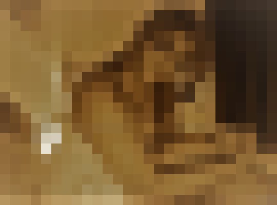 LolitaGirlAveryLee Las Vegas, Nevada Escort, , Verified Adult Service Provider, Companion in United States | 11