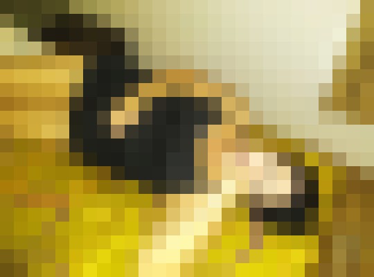 secretdesires Kansas City, Missouri Escort, Pornstar, BDSM, DUO, Massage, Verified Adult Service Provider, Companion in United States | 8