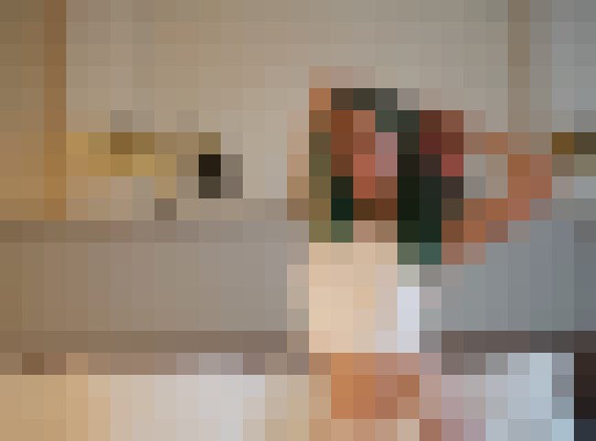MirandaVonV New York Escort, Pornstar, BDSM, DUO, Verified Adult Service Provider, Companion in United States | 8