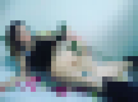 Desiremack Houston, Texas Escort, Pornstar, DUO, Couple, Massage, Verified Adult Service Provider, Companion in United States | 13
