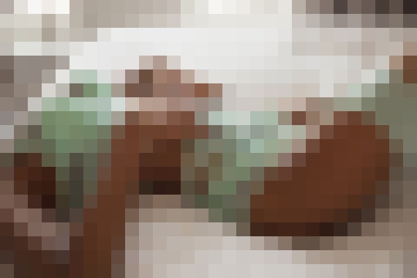SerenaSahir New York Escort, , Verified Adult Service Provider, Companion in United States | 17