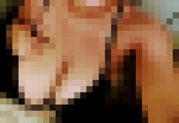 Sexy red29 Little Rock, Arkansas Escort, Pornstar, Verified Adult Service Provider, Companion in United States | 16
