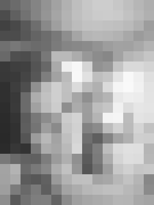 Ashlee Johansen Sacramento, California Escort, Massage, Verified Adult Service Provider, Companion in United States | 7