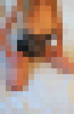 LailaElite Windsor Escort, Pornstar, Couple, Massage, Verified Adult Service Provider, Companion in United Kingdom | 2