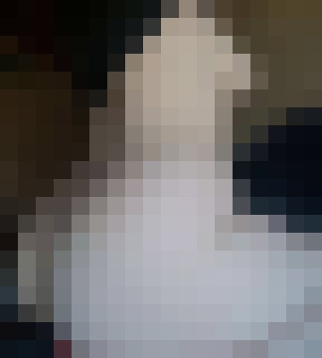 Katie boo Myrtle Beach, South Carolina Escort, , Verified Adult Service Provider, Companion in United States | 6