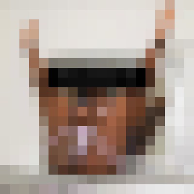 Island Chocolate Atlanta, Georgia Escort, Pornstar, Couple, Massage, Verified Adult Service Provider, Companion in United States | 7