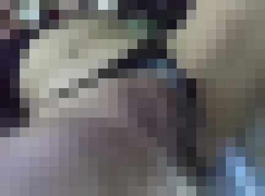 Candee17 San Antonio, Texas Escort, , Verified Adult Service Provider, Companion in United States | 10