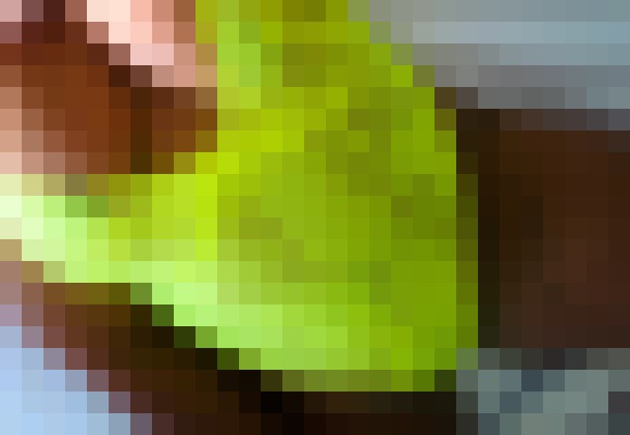 Jasman Durham, North Carolina Escort, Pornstar, Verified Adult Service Provider, Companion in United States | 6