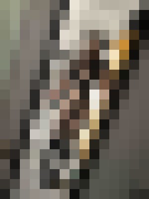 MystiqueX Austin, Texas Escort, Pornstar, Couple, Verified Adult Service Provider, Companion in United States | 4