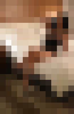 Lauren Stone Tampa, Florida Escort, BDSM, Verified Adult Service Provider, Companion in United States | 17