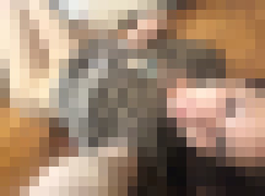 Candy24 Portland, Oregon Escort, , Verified Adult Service Provider, Companion in United States | 13