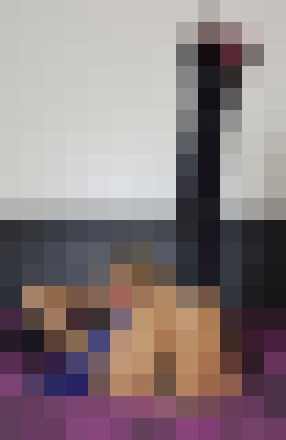 Really Barbi Tooting London Escort, BDSM, DUO, Couple, Verified Adult Service Provider, Companion in United Kingdom | 10