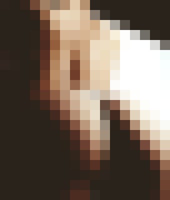 Chanel Morgan Houston, Texas Escort, , Verified Adult Service Provider, Companion in United States | 5