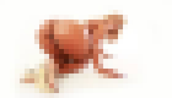 Gemini Lovell New York Escort, Pornstar, Verified Adult Service Provider, Companion in United States | 5