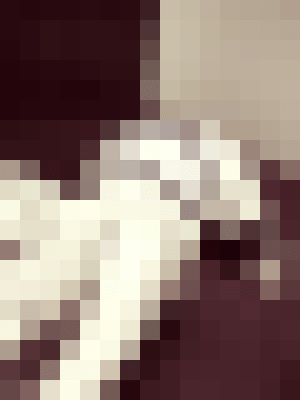 Sadie Smith Louisville-Jefferson County, Kentucky Escort, BDSM, Couple, Verified Adult Service Provider, Companion in United States | 9