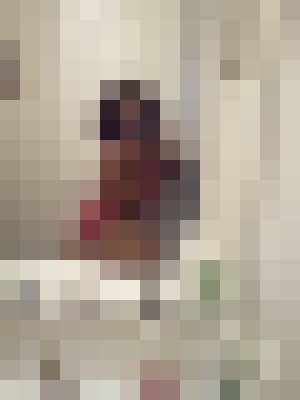 Tonisha Phoenix, Arizona Escort, Massage, Verified Adult Service Provider, Companion in United States | 2