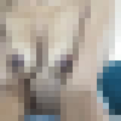 Neeta Houston, Texas Escort, , Verified Adult Service Provider, Companion in United States | 4