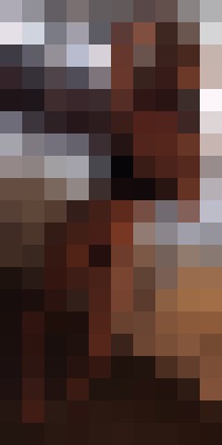 ParisLove14 Las Vegas, Nevada Escort, Pornstar, BDSM, Massage, Verified Adult Service Provider, Companion in United States | 9