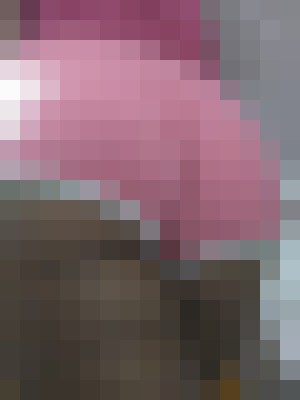 superpretty Las Vegas, Nevada Escort, Pornstar, Couple, Massage, Verified Adult Service Provider, Companion in United States | 6