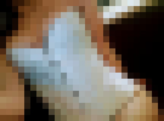 shaysugar Wichita, Kansas Escort, Pornstar, Couple, Verified Adult Service Provider, Companion in United States | 2