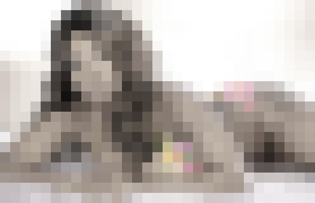 Dana_Allure Scottsdale, Arizona Escort, Pornstar, Verified Adult Service Provider, Companion in United States | 4