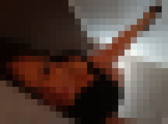 Crissy Tulsa, Oklahoma Escort, Pornstar, Verified Adult Service Provider, Companion in United States | 8
