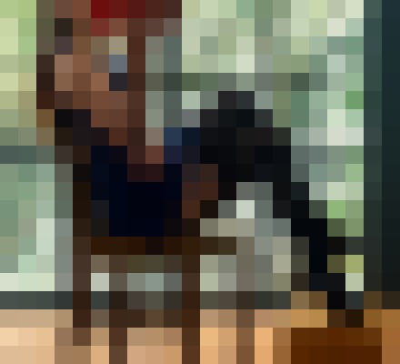 Sasha Porizkova Seattle, Washington Escort, Pornstar, BDSM, DUO, Verified Adult Service Provider, Companion in United States | 7