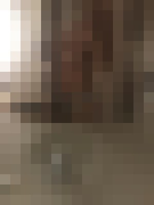 Ember Salt Lake City, Utah Escort, DUO, Verified Adult Service Provider, Companion in United States | 8